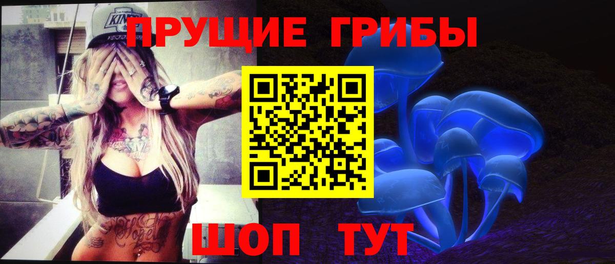 Галлюциногенные грибы Psilocybe  цена наркотик  Красногорск  Вход с VPN 